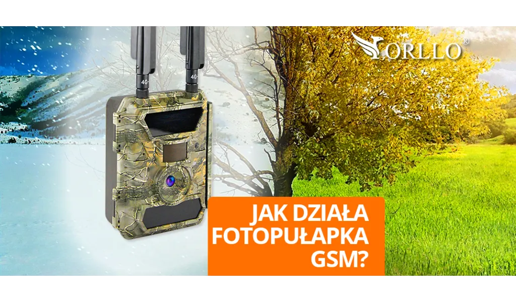 fotopułapka gsm