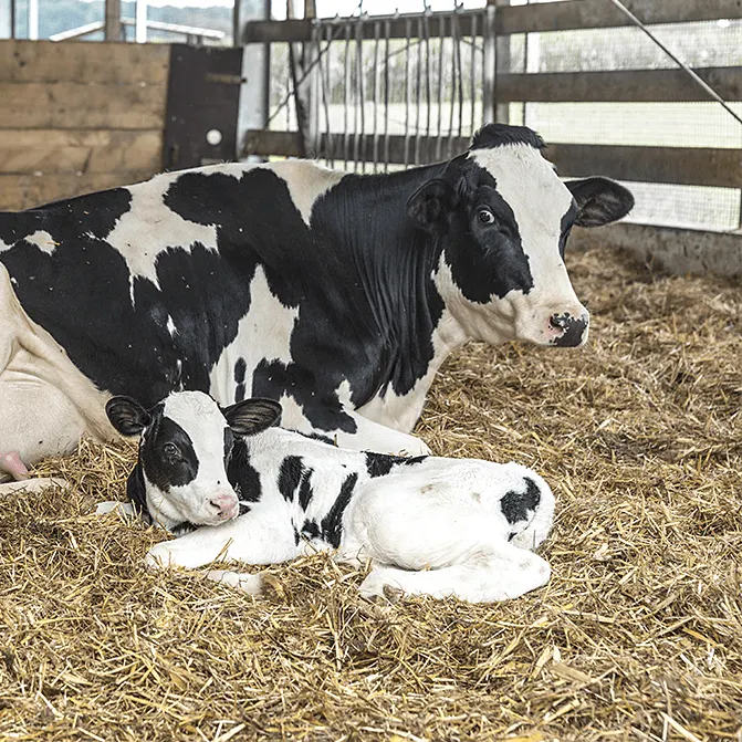 Monitoring<br/>Gospodarstwa