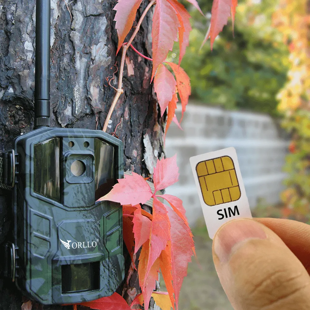 Fotopułapka GSM Kamera Leśna ORLLO HUNTERCAM 3