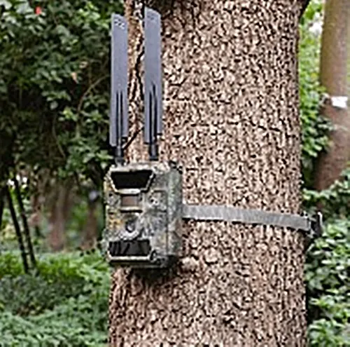 fotopułapka kamera gsm orllo lesna full hd orllo montoring bezprzewodowy gsm