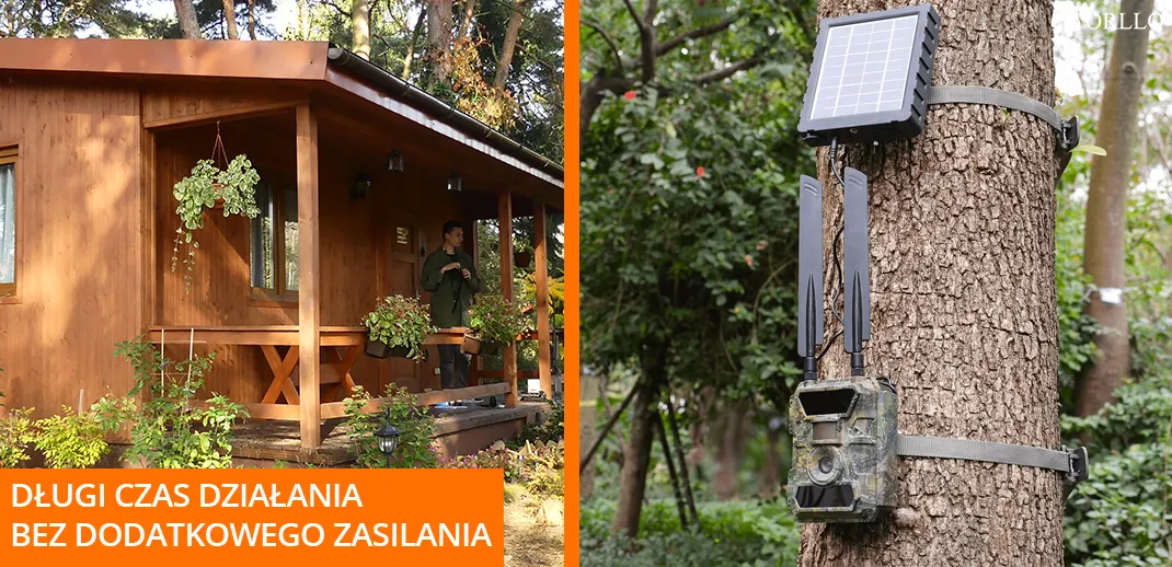 monitoring dzialki rodzinnej kamera lesna